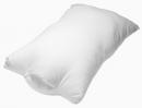 KITERUKITERU 2.5 Dimension Succubus Big Size Cusion Pillow Body