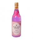 MYU "Nure Nure nouveau Rose" Wine Bottle Motif Lubricant Lotion 900ml